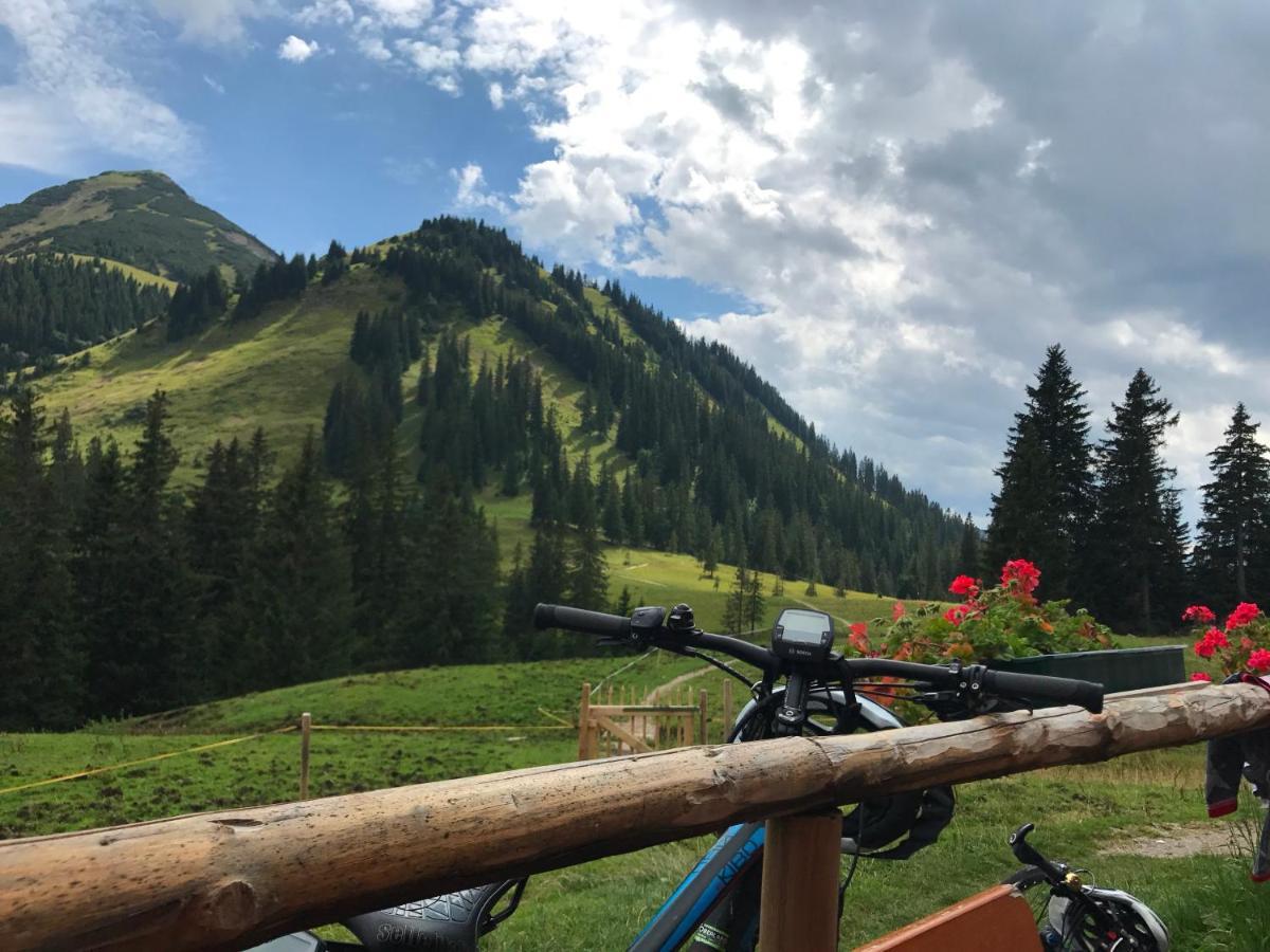 Bayern Resort Hotel - Adults Only - Mit Zugspitzblick - Eibsee-Naehe - Wellnessbereich - Naturpool Im Sommer Grainau Kültér fotó